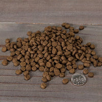
              Nulo Adult Trim Grain Free Dry Cat Food With Bc30 Probiotic (Salmon & Lentils Recipe, 5Lb Bag)
            
