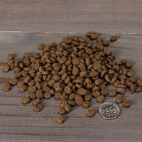
              Nulo Adult & Kitten Grain Free Dry Cat Food With Bc30 Probiotic (Turkey, 5Lb Bag)
            