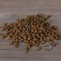 
              Nulo Adult & Kitten Grain Free Dry Cat Food With Bc30 Probiotic (Turkey, 12Lb Bag)
            