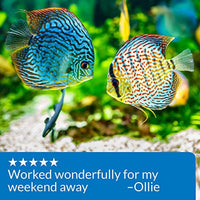
              API Weekend Pyramid Fish Feeder 3-Day Automatic Fish Feeder 1.4 oz 4Count Pack
            