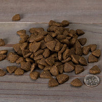 
              Nulo Grain Free Dog Food: All Natural Adult Dry Pet Food  (Salmon, 11Lb)
            
