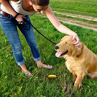 
              Simple Solution Pee Post Outdoor Potty Training Aid | Pheromone-Infused Yard Stake with GO HERE Technology 13 Inch Stake
            