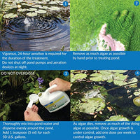 
              API POND ALGAEFIX Algae Control 1-Gallon Bottle
            