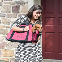 Carry-Me Dog Travel Dog Bag Carrier - Raspberry Sorbet, Large