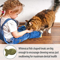 Emerald Pet Feline Dental Crunchy Natural Grain Free Cat Treats, Made in USA, Tuna, 3 oz (00403-CT)