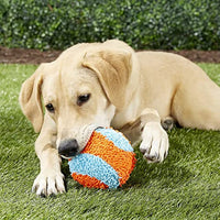 
              ChuckIt! Indoor Ball Dog Fetch Toy For Medium To Large Dogs, Orange/Blue One Size Only
            