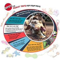 
              SPOT Ethical Pets 54276 Red Alert Dual Texture Bone Pet Chew Toys
            