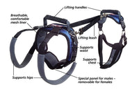 
              PetSafe CareLift Support Harness - Full Body Lifting Aid with Handle & Shoulder Strap - Great for Pet Mobility & Older Dogs to Help Them Up - Comfortable, Breathable Material - Easy to Adjust - Large
            