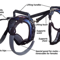 PetSafe CareLift Support Harness - Full Body Lifting Aid with Handle & Shoulder Strap - Great for Pet Mobility & Older Dogs to Help Them Up - Comfortable, Breathable Material - Easy to Adjust - Large