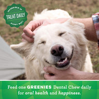 
              GREENIES Original Petite Natural Dog Dental Care Chews Oral Health Dog Treats, 36 oz. Pack (60 Treats)
            
