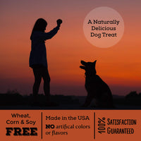 
              Exclusively Dog Pet Dog Smoochers Drops with Yogurt Treat, Pumpkin, All Breed Sizes
            