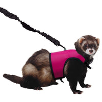 
              Kaytee / Super Pet Medium Comfort Harness Random Colors
            
