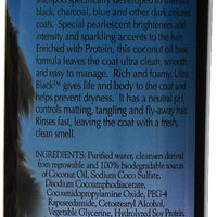 Bio-Groom Ultra Black Color Enhancer Pet Shampoo, 12-Ounce