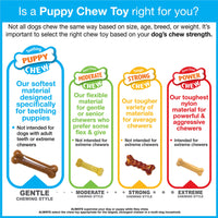 Nylabone Puppy Chew Chicken Dog Chew Toy for Teething Puppies, Blue