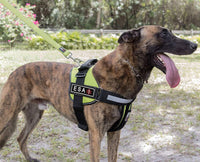 
              Dogline 3D Rubber Removable Patches for Dog Harness and Vest
            