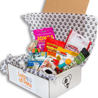 Lots of Pets Dog Party Box (Medium Dogs)