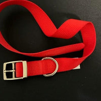 ASPEN Pet  COLLAR NYLON RED 24 Inch X 1 Inch