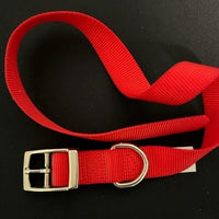 ASPEN Pet  COLLAR NYLON RED 24 Inch X 1 Inch
