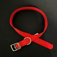 ASPEN Pet  COLLAR NYLON RED 24 Inch X 1 Inch