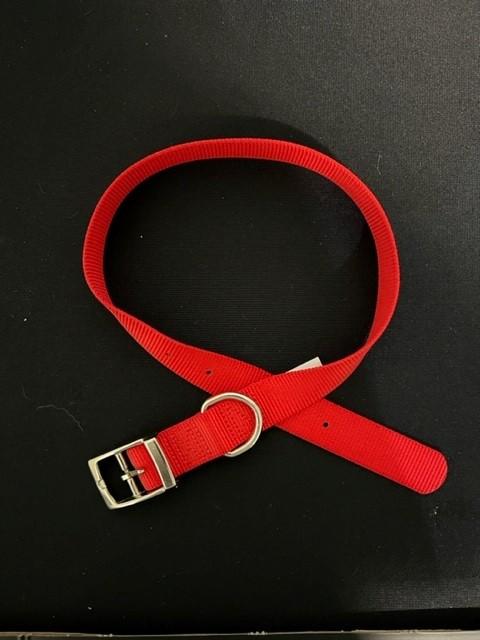 ASPEN Pet  COLLAR NYLON RED 24 Inch X 1 Inch