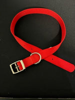 
              ASPEN Pet  COLLAR NYLON RED 24 Inch X 1 Inch
            