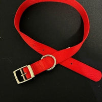 ASPEN Pet  COLLAR NYLON RED 24 Inch X 1 Inch