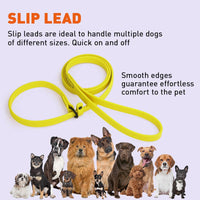 
              Biothane Slip Lead
            