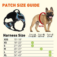 
              Dogline Quest Multi-Purpose No Pull Dog Harness
            