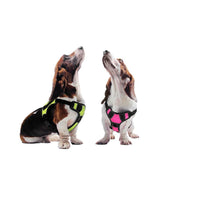 Dogline Quest Multi-Purpose No Pull Dog Harness