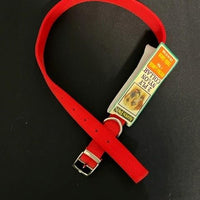 ASPEN Pet  COLLAR NYLON RED 28 Inch X 1 Inch