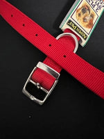 
              ASPEN Pet  COLLAR NYLON RED 28 Inch X 1 Inch
            
