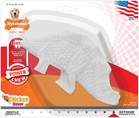 
              Nylabone Puppy Chew Gentle Chewing Dura Chew Original Flavored Dental Dinosaur Chew Toy, Dinosaur Style Varies
            