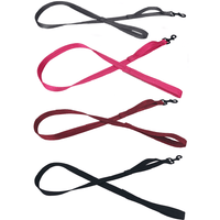 
              Nylon Flat Leash + Built-in Traffic Handle
            