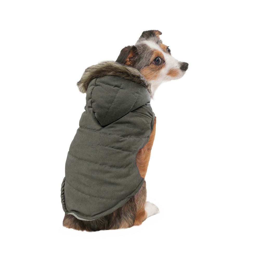 Fashion Pet Velvety Puffer Coat Gray Medium