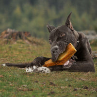 
              Farm to Paws Smoked Beef Shin Bones - Natural Dog Chews
            