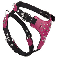 
              Leather + Nylon Spike Harness
            