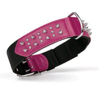 
              Leather + Nylon Spike Collar
            