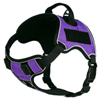 
              Dogline Quest Multi-Purpose No Pull Dog Harness
            