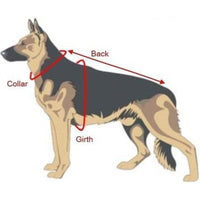 
              Viper Surge Biothane Working Dog Harness - Stainless Steel Hardware
            