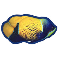 10" Tropical Damselfish Dog Fish Toy