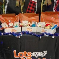 Lots of Pets Holiday Dog Party Box In store Special  Only!